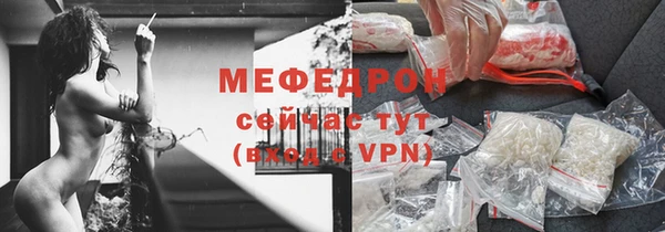 индика Волоколамск