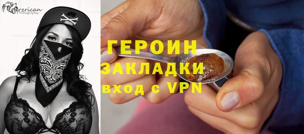 индика Волоколамск