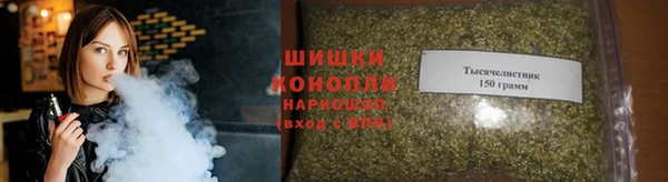 индика Волоколамск