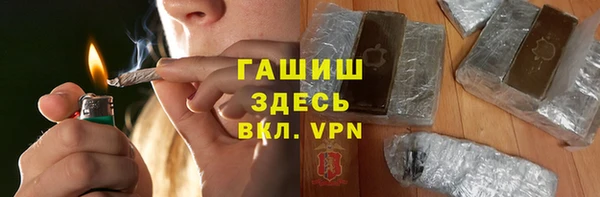 индика Волоколамск
