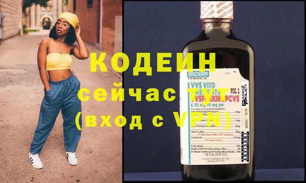 индика Волоколамск