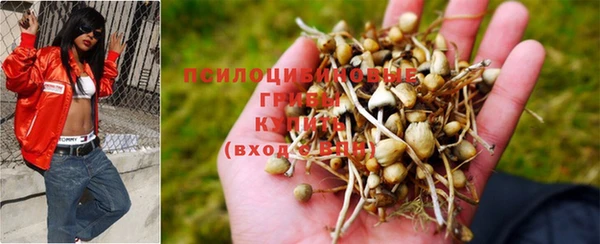 герыч Вязники