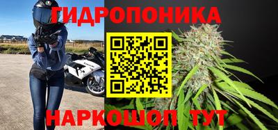 трава Камышлов