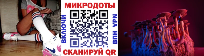 где купить наркотик  Ноябрьск  hydra сайт  Псилоцибиновые грибы MAGIC MUSHROOMS 