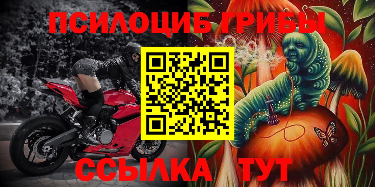 Меф Ноябрьск