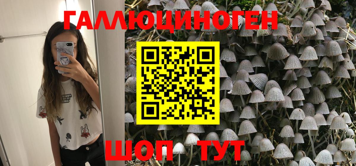 Псилоцибиновые грибы Psilocybine cubensis  Галлюциногенные грибы мухоморы  Вход с VPN  Ноябрьск 